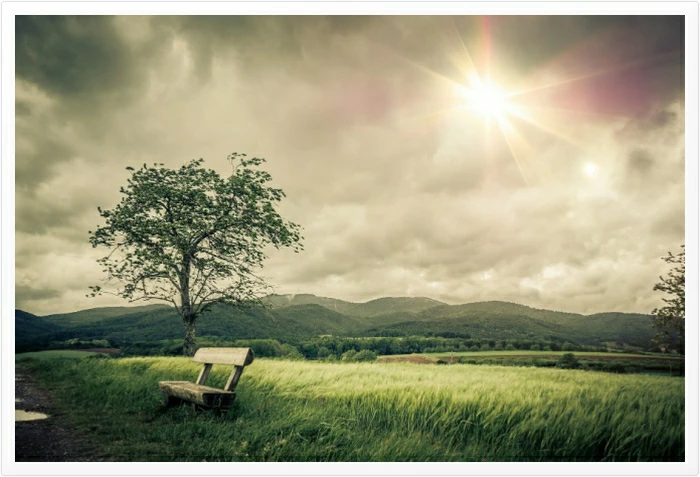 Open countryside scene